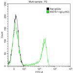 Ly-6G Antibody in Flow Cytometry (Flow)