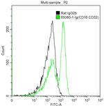 CD16/CD32 Antibody in Flow Cytometry (Flow)