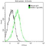 CD80 (B7-1) Antibody in Flow Cytometry (Flow)