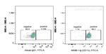 CD11c Antibody in Flow Cytometry (Flow)