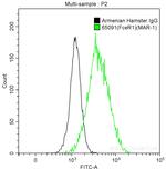 FceR1 Antibody in Flow Cytometry (Flow)