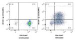 CD40L/CD154 Antibody in Flow Cytometry (Flow)