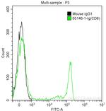 CD8 Antibody in Flow Cytometry (Flow)