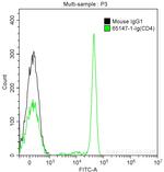 CD4 Antibody in Flow Cytometry (Flow)