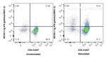 IFN gamma Antibody in Flow Cytometry (Flow)