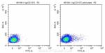 CD137 Antibody in Flow Cytometry (Flow)