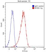 CD86 Antibody in Flow Cytometry (Flow)