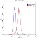 CDK1 Antibody in Flow Cytometry (Flow)