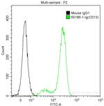 CD13 Antibody in Flow Cytometry (Flow)