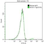 CD19 Antibody in Flow Cytometry (Flow)