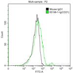 CD21 Antibody in Flow Cytometry (Flow)