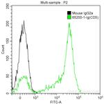 CD5 Antibody in Flow Cytometry (Flow)