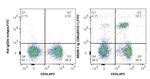 CD8a Antibody in Flow Cytometry (Flow)