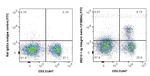 Integrin beta-7 Antibody in Flow Cytometry (Flow)