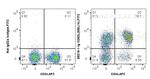 CD62L Antibody in Flow Cytometry (Flow)