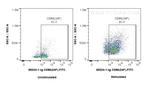CD86 Antibody in Flow Cytometry (Flow)