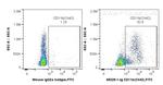 CD11b Antibody in Flow Cytometry (Flow)
