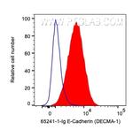 CD324 (E-cadherin) Antibody in Flow Cytometry (Flow)