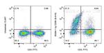 CD56 Antibody in Flow Cytometry (Flow)