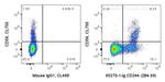CD244 Antibody in Flow Cytometry (Flow)