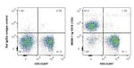CD19 Antibody in Flow Cytometry (Flow)