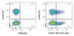CD73 Antibody in Flow Cytometry (Flow)