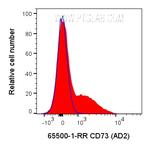 CD73 Antibody in Flow Cytometry (Flow)