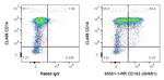CD163 Antibody in Flow Cytometry (Flow)