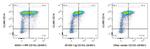 CD163 Antibody in Flow Cytometry (Flow)