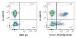 CD8a Antibody in Flow Cytometry (Flow)