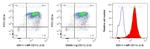 CD11c Antibody in Flow Cytometry (Flow)