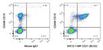 CD21 Antibody in Flow Cytometry (Flow)