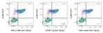 CD21 Antibody in Flow Cytometry (Flow)