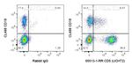 CD5 Antibody in Flow Cytometry (Flow)