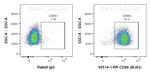 CD86 Antibody in Flow Cytometry (Flow)
