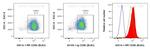 CD86 Antibody in Flow Cytometry (Flow)
