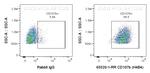 CD107b/LAMP2 Antibody in Flow Cytometry (Flow)