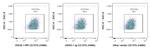 CD107b/LAMP2 Antibody in Flow Cytometry (Flow)