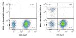 CD19 Antibody in Flow Cytometry (Flow)
