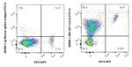 CD11c Antibody in Flow Cytometry (Flow)