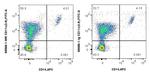 CD11c Antibody in Flow Cytometry (Flow)