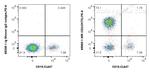 CD3 Antibody in Flow Cytometry (Flow)