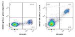 CD64 Antibody in Flow Cytometry (Flow)