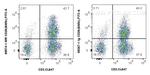 CD26 Antibody in Flow Cytometry (Flow)
