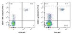 CD20 Antibody in Flow Cytometry (Flow)