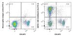 CD45RA Antibody in Flow Cytometry (Flow)
