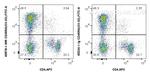 CD45RA Antibody in Flow Cytometry (Flow)