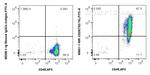 CD29 Antibody in Flow Cytometry (Flow)