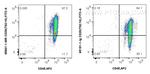 CD29 Antibody in Flow Cytometry (Flow)