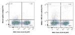 CD11c Antibody in Flow Cytometry (Flow)
